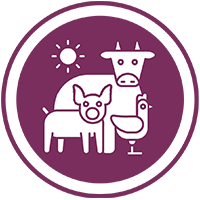 Agriculture Allied Sectors