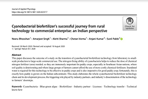 Cyanobacterial Biofertilizer’s Successful Journey